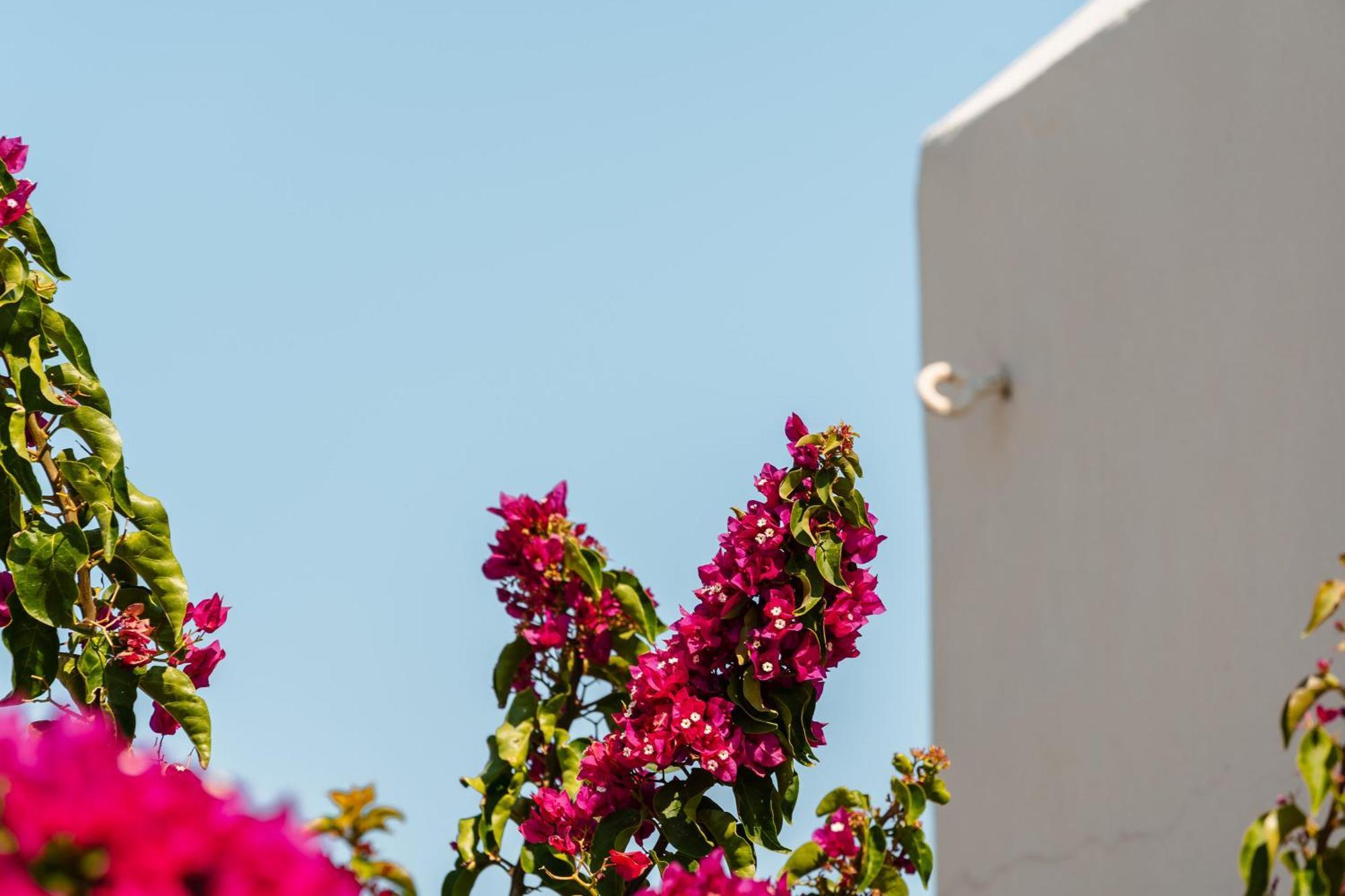 Rosabella Home Naxos City Exterior foto